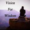 Wisdom for Vision
